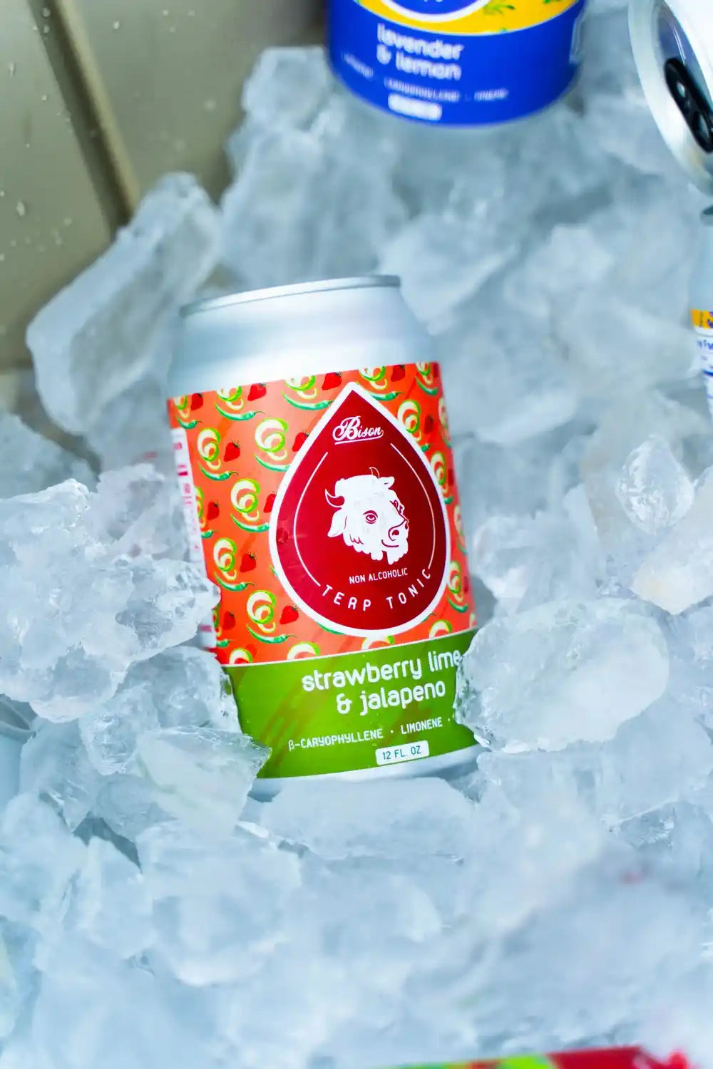 Strawberry Lime Jalapeño - Terpene Tonic (4/6 pack or 24 case)