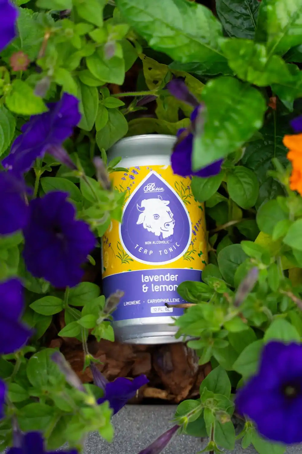 Lavender & Lemon - Terpene Tonic (4/6 pack or 24 case)