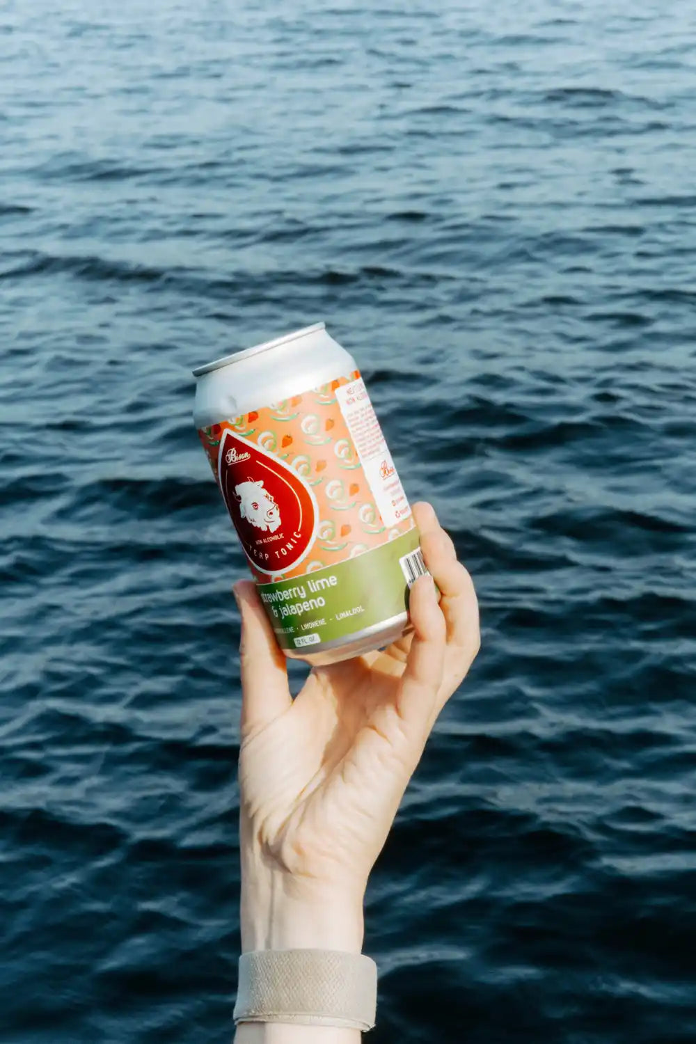 Strawberry Lime Jalapeño - Terpene Tonic (4/6 pack or 24 case)