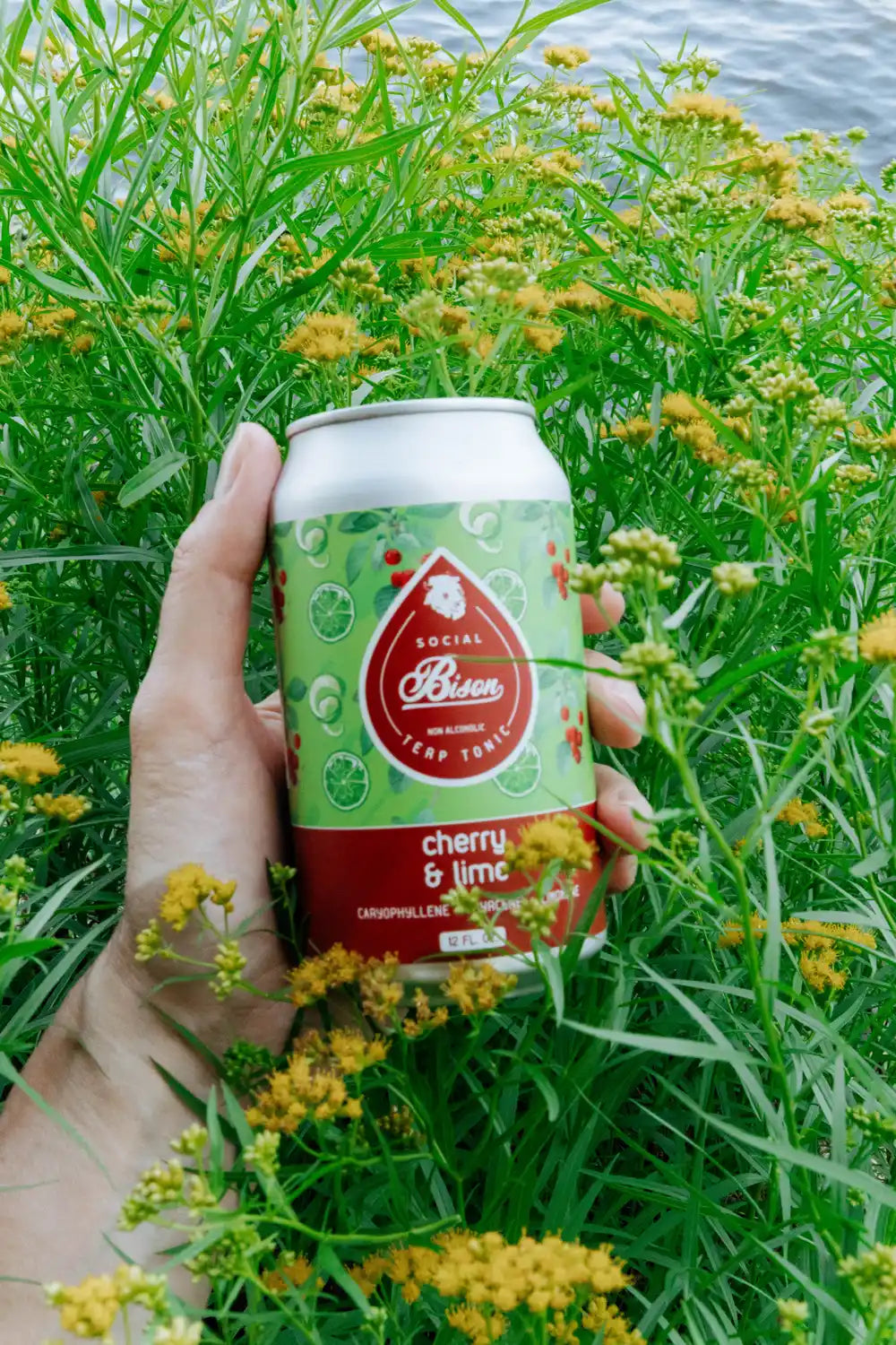 Variety Pack (6 pack)