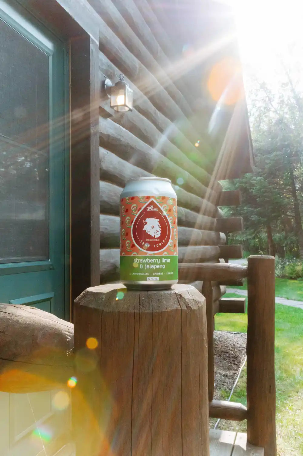 Strawberry Lime Jalapeño - Terpene Tonic (4/6 pack or 24 case)