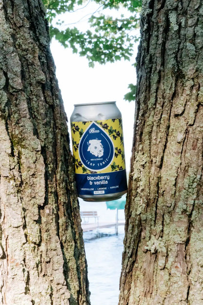 Blackberry Vanilla - Terpene Tonic (4/6 Pack or 24 Case)